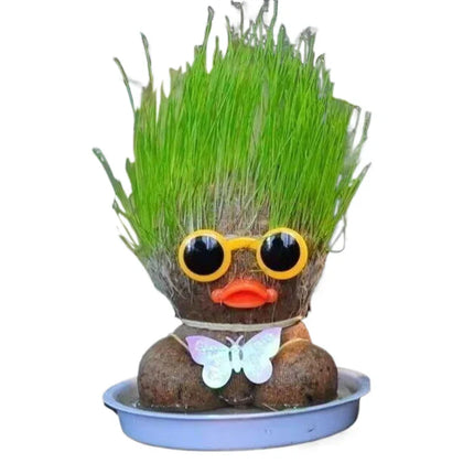 Decoratieve Plantfiguur | Minimal Onderhoud | Verbetert Luchtkwaliteit | Groeit met Water | Unieke Stijl