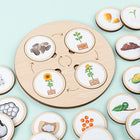 Træpuslespil Educatief | Levenscyclus Herkenning voor Kinderen | Natuurlijke Materialen | 40 Stuks Puzzelstukken | Educatief Speelgoed Peuter | Leren door Spel | Motorische Vaardigheden | Boven 3 Jaar