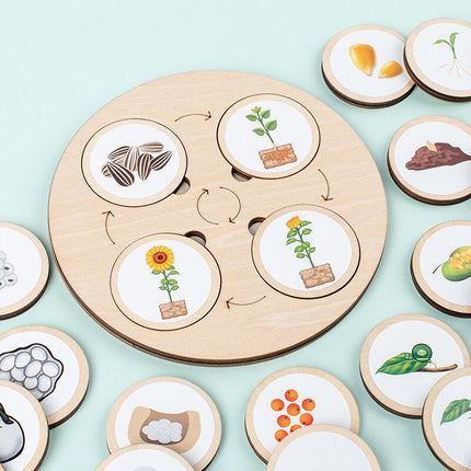 Træpuslespil Educatief | Levenscyclus Herkenning voor Kinderen | Natuurlijke Materialen | 40 Stuks Puzzelstukken | Educatief Speelgoed Peuter | Leren door Spel | Motorische Vaardigheden | Boven 3 Jaar