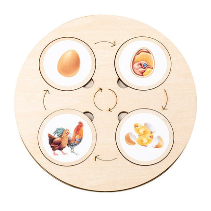 Træpuslespil Educatief | Levenscyclus Herkenning voor Kinderen | Natuurlijke Materialen | 40 Stuks Puzzelstukken | Educatief Speelgoed Peuter | Leren door Spel | Motorische Vaardigheden | Boven 3 Jaar