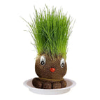 Groene graspier