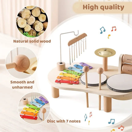 Muziek Speelgoed Set Kinderen | Houten Instrumenten | Motoriek en Creativiteit | Educatief Speelgoed