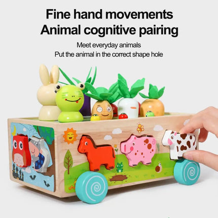 Houten Kinderpuzzel | Educatief Spel | Dieren & Groenten Sorteren | Trekfiguur Met Blokken | Veilig Hout