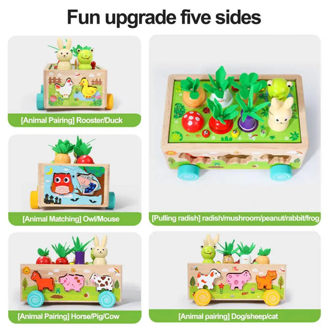 Houten Kinderpuzzel | Educatief Spel | Dieren & Groenten Sorteren | Trekfiguur Met Blokken | Veilig Hout