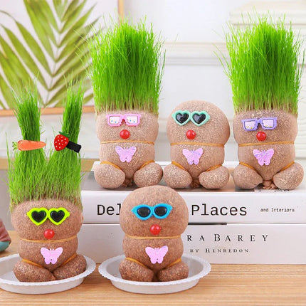 Decoratieve Plantfiguur | Minimal Onderhoud | Verbetert Luchtkwaliteit | Groeit met Water | Unieke Stijl