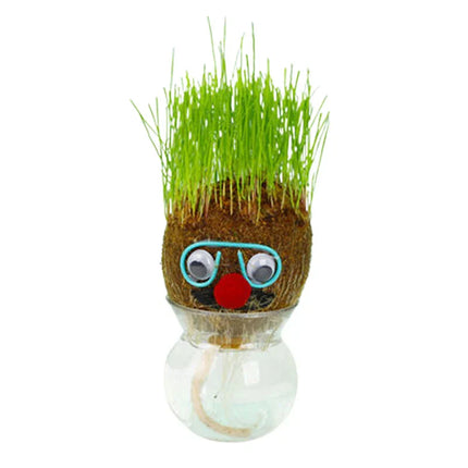 Decoratieve Plantfiguur | Minimal Onderhoud | Verbetert Luchtkwaliteit | Groeit met Water | Unieke Stijl